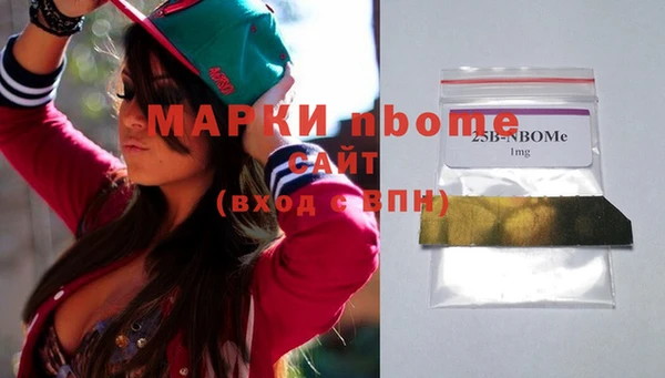 хмурый Алексин