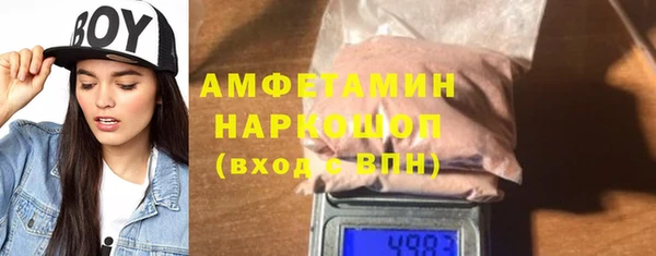 хмурый Алексин
