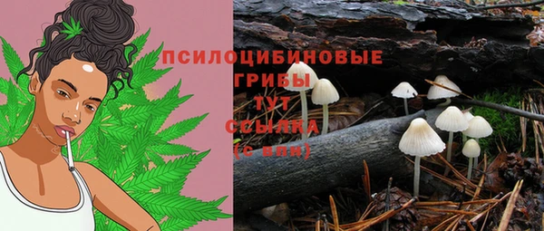 хмурый Алексин