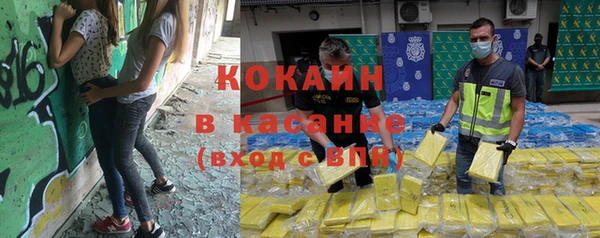 хмурый Алексин