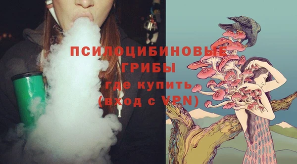 a pvp Абинск